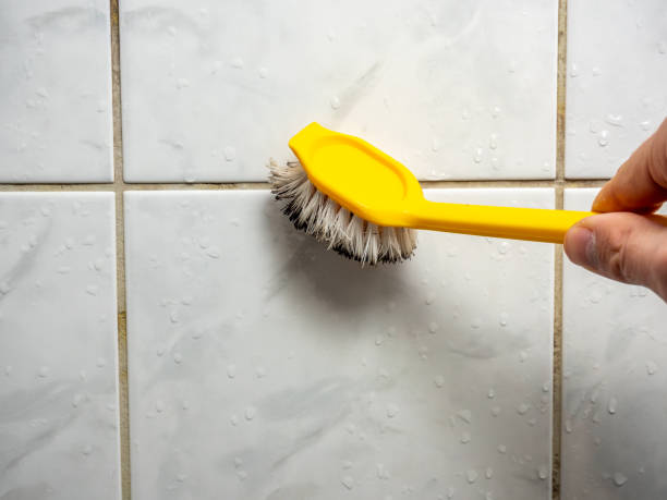 Best Insurance-Related Mold Remediation in South Houston, TX
