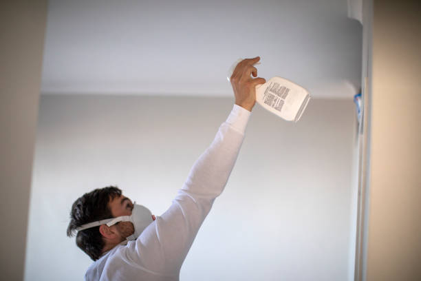 Best Kitchen Mold Remediation in South Houston, TX