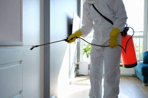 Best Bathroom Mold Remediation in South Houston, TX