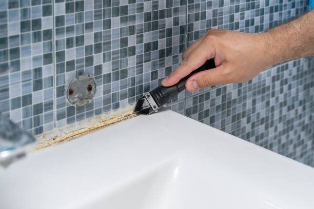 Best Localized Mold Remediation (e.g., coastal areas, humid climates) in South Houston, TX
