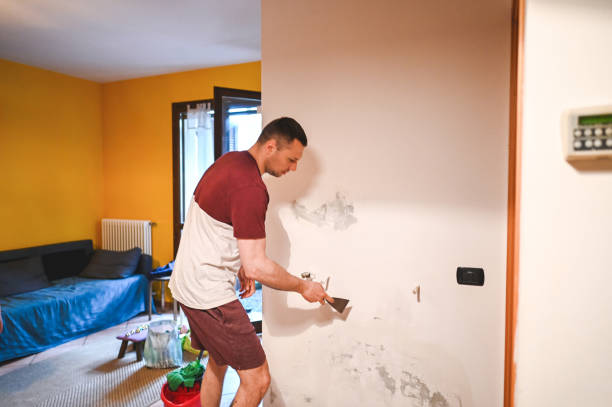 Best Commercial Mold Remediation in South Houston, TX